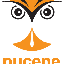 Pucene: Vision